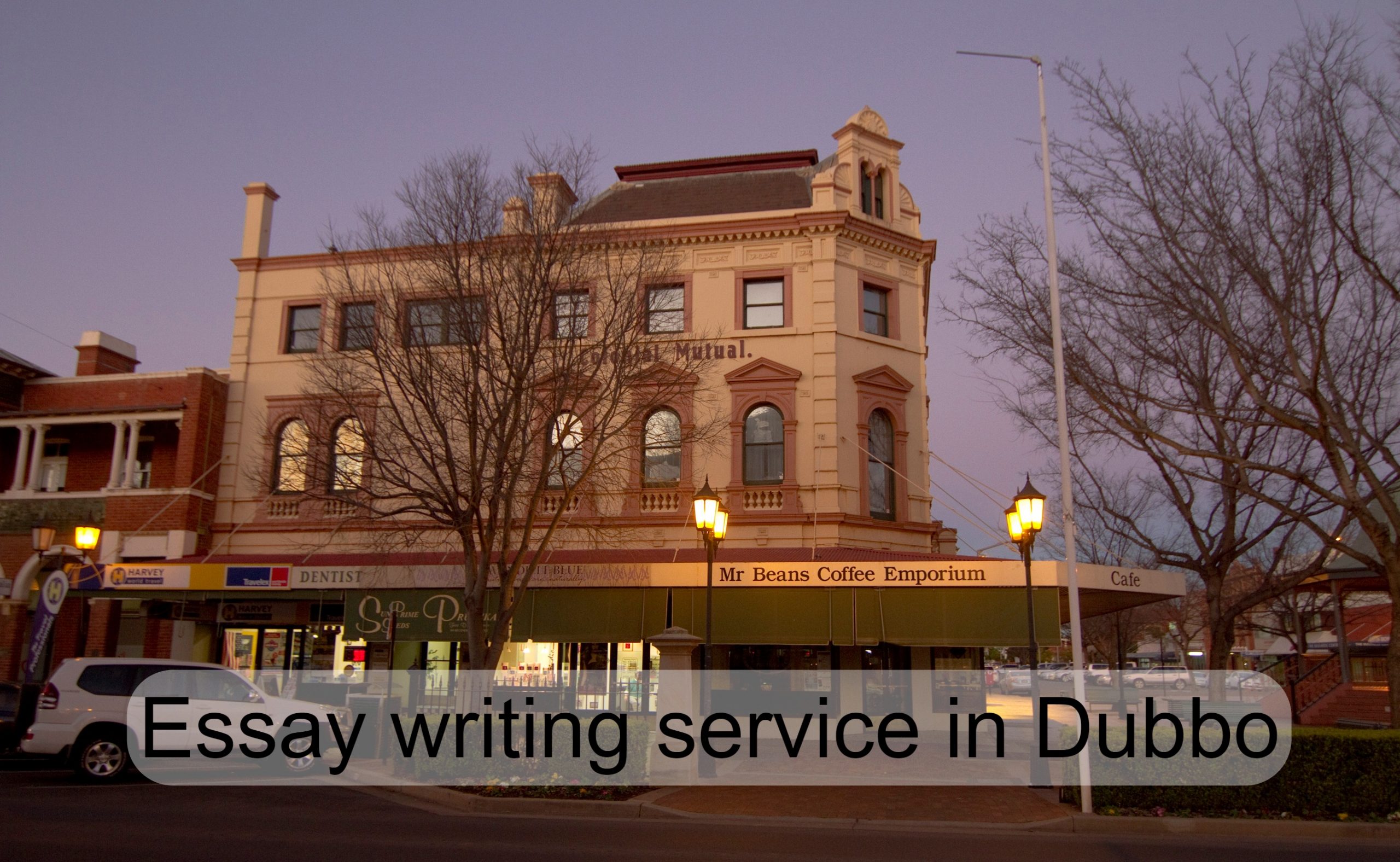 Essay writing service in Dubbo